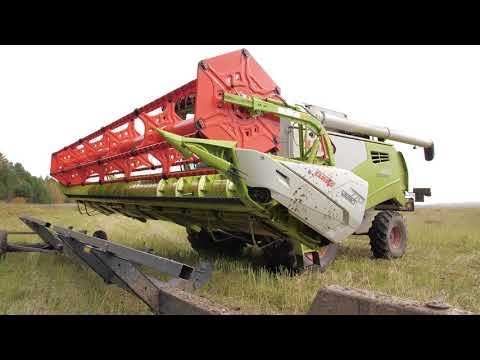 Видео: CLAAS TUCANO 450 с жаткой VARIO 770. Уборка рапса. Иркутская область АО Железнодорожник