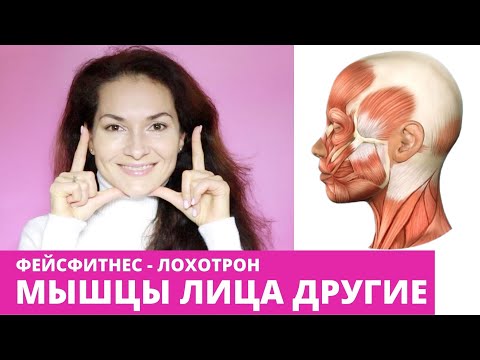 Видео: МЫШЦЫ ЛИЦА И ТЕЛА РАЗНЫЕ. Фейсфитнес это лохотрон.
