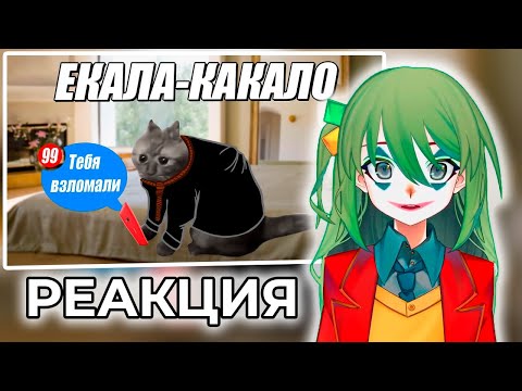 Видео: CONWAY СМОТРИТ: Как Solek Словил Стиллер