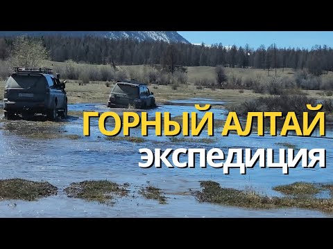 Видео: Экспедиция в Горный Алтай. Провал Джип-тура.#Аргут #карагем #экспедиция