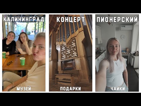 Видео: СНОВА ОНИ! Калининград 2.0: искупались в Балтике ОСЕНЬЮ, приручили собаку | baltic trip