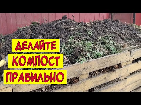 Видео: Как сделать компост правильно? Мифы про компост. Компостные ящики.
