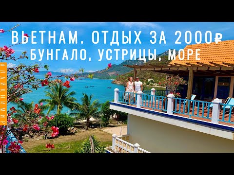 Видео: Вьетнам. Отдохнуть за 2000 ₽ в бунгало на берегу моря и объесться устрицами! Нячанг Вьетнам 2022