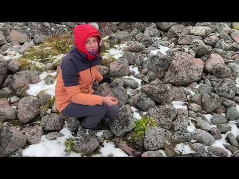 Видео: Териберка - ни зима ни лето …