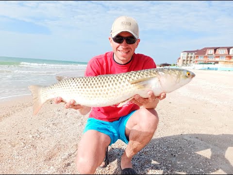 Видео: Пеленгас в Кирилловке 2021  Часть 1