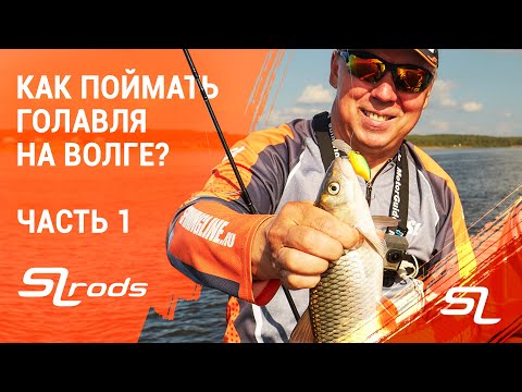 Видео: Ловля ГОЛАВЛЯ.  В гостях у Валерия Новосадова.
