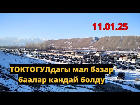 Видео: МАЛ БАЗАР КАНДАЙ БОЛУП ЖАТАТ