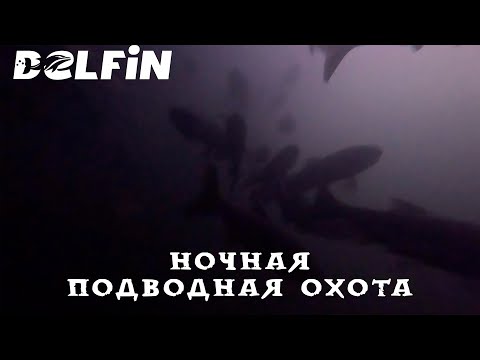 Видео: Подводная охота на закате: встреча с Брянскими толстолобиками и неожиданная поломка