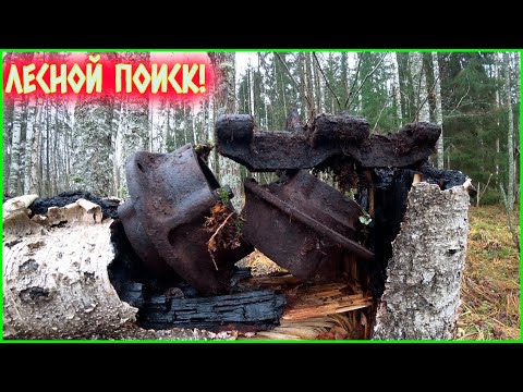 Видео: ПОИСК МЕТАЛЛОЛОМА В ЛЕСУ! ХОРОШИЕ ЖЕЛЕЗЯКИ И БОНУС ОТ СОХАТОГО!!!