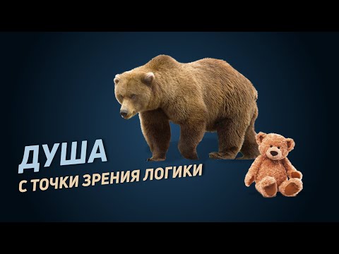 Видео: Душа как самодвижность. Душа с точки зрения философии и логики