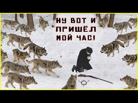 Видео: Истории про волков – они окружили его и ждали момент. Таежные истории. Случай в тайге рассказ