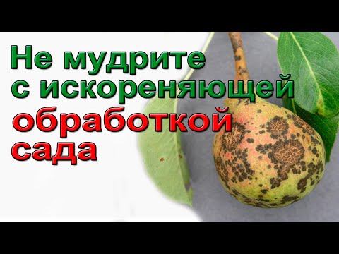 Видео: Рецепты для осенней обработки сада