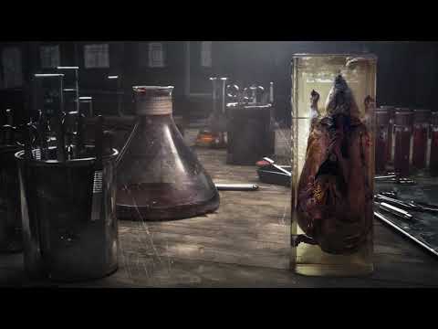 Видео: Запрудский Алексей «Линейная мультимедийная презентация "Фауна. Млекопитающие. Крысы"»