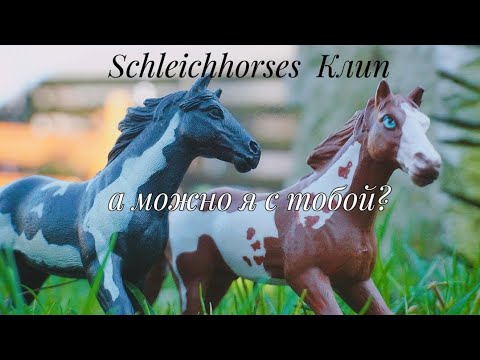 Видео: ||Schleich horses Music Video||Стой! А можно я с тобой?||Клип на конкурс @mlpspirittv5190||