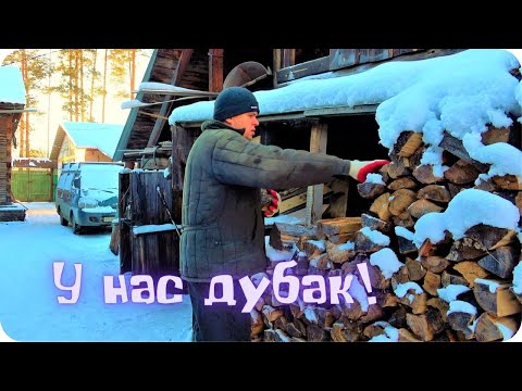 Видео: Зима разгулялась. Пришли морозы