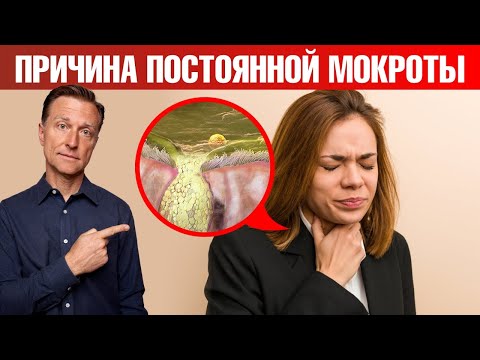 Видео: Настоящая причина хронической мокроты в горле. Дело в ГЭРБ🧐