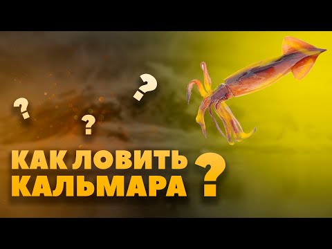 Видео: Как ловить кальмара. Секрет ловли кальмара. Приморский край.