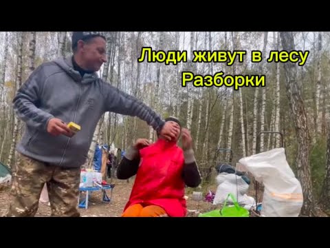 Видео: Люди леса, разборка нового года. Мусорщик