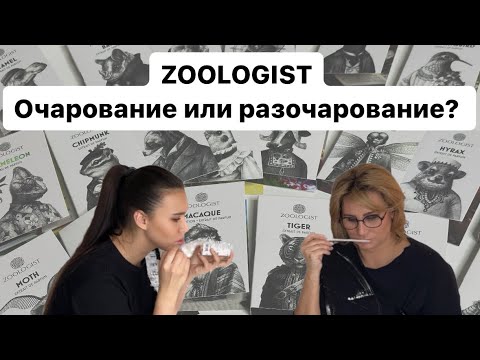 Видео: В МИРЕ ЖИВОТНЫХ. ЗНАКОМСТВО С ПОЛНЫМ ЗВЕРИНЦЕМ OT ZOOLOGIST- часть 1