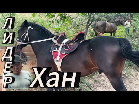 Видео: Ноокендеги Кубаныч  Саяпкердин  Аты ЛИДЕР жонундо маек болду