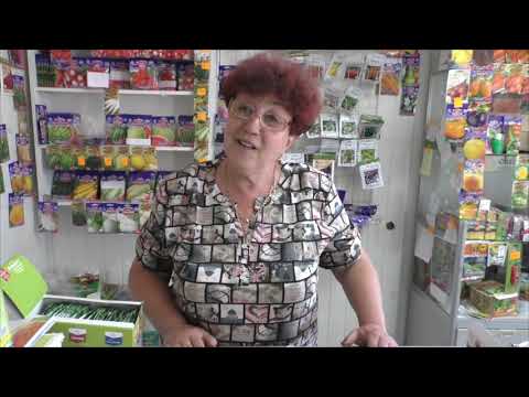 Видео: Чем обработать огурцы и томаты от болезней - выбор препаратов.