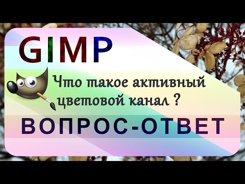 Видео: 56. Что такое активный цветовой канал в GIMP.