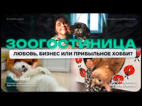 Видео: Зоогостиница — прибыльная любовь к животным? Как открыть гостиницу для животных — Нюансы #зообизнес
