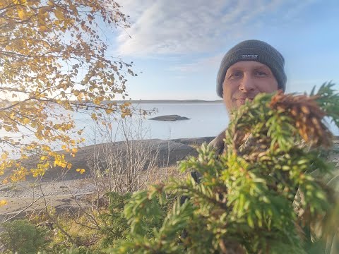 Видео: Рыбалка на лукоморье!Идущий по воде.Проверяю Финки на Белом море!Позавтракал голубичкой.