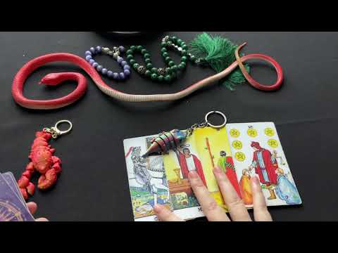 Видео: Что в эту секунду с ним происходит?👁️