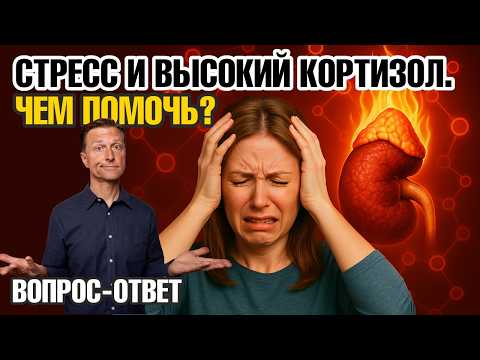 Видео: Лучшее средство для снижения кортизола. Сделайте сами 🙌