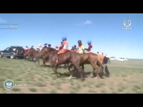 Видео: Их мандал говийн бүсийн хурдан морьдын уралдаан  Азарга