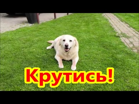 Видео: Вот так надо!