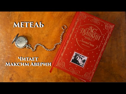 Видео: МАКСИМ АВЕРИН - Читает А.С. Пушкина // Метель