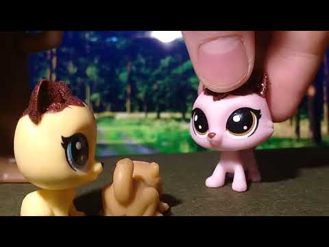 Видео: LPS: КОТЫ ВОИТЕЛИ (1)