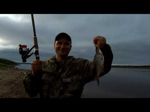 Видео: Северная Двина, ЛЕЩ и кукуруза рулит! Вот что из этого вышло!