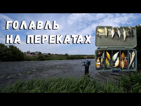Видео: Голавль на перекатах