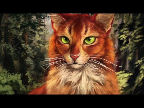 Видео: Коты Воители | История Огнезвёзда ~ Skillet - The Resistance [Заказ]