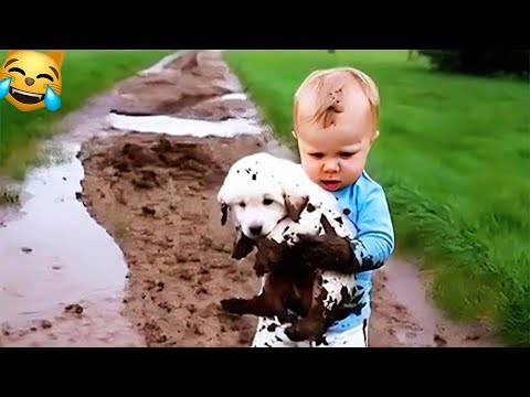 Видео: ПРИКОЛЫ С ЖИВОТНЫМИ ДО СЛЕЗ 😹/ Смешные КОТЫ 2025 / Приколы с КОТАМИ / Funny ANIMALS video #31
