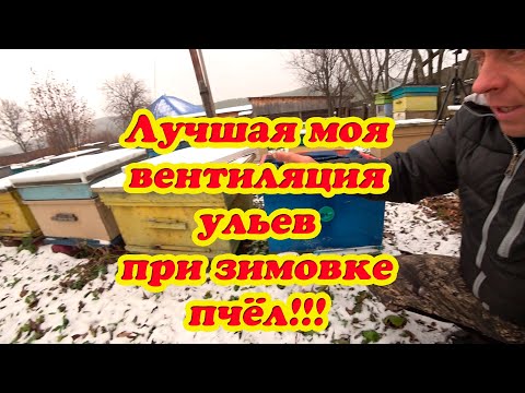 Видео: ВЕНТИЛЯЦИЯ УЛЬЕВ ПРИ ЗИМОВКЕ ПЧЁЛ РАЗЛИЧНЫХ КОНСТРУКЦИЙ, 100% ПЕРЕЗИМУЮТ СДЕЛАЙ ЭТО ПЧЕЛОВОД.