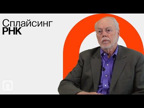 Видео: Сплайсинг РНК / Филипп Шарп на ПостНауке