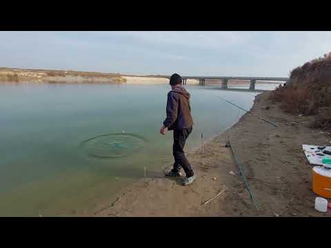 Видео: Көксарай Слияние
