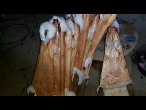 Видео: Кролівництво. Скільки можна заробити $ на шкірках кролів.