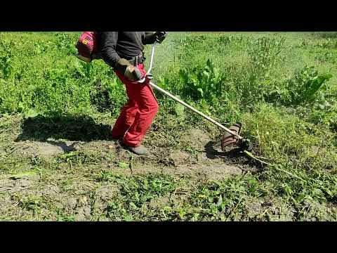 Видео: Як косити мотокосою ЛІСКОЮ картоплю восени?