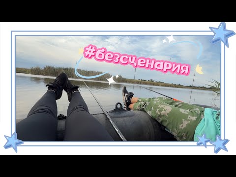 Видео: VLOG Без сценария #6 ~ что было в августе?