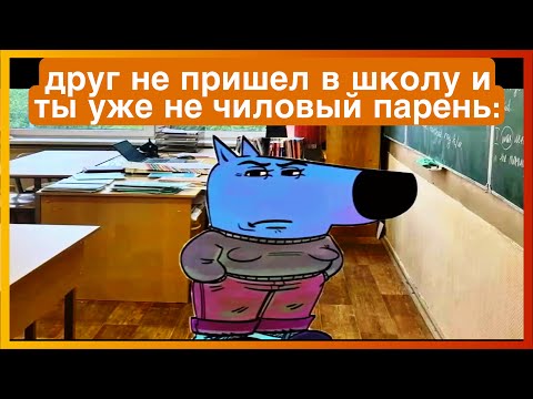 Видео: тикток не чиловый парень | подборка мемов