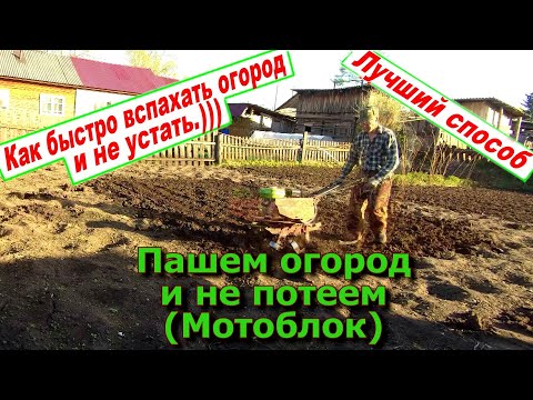 Видео: Пашем огород и не потеем... или Как пахать мотоблоком 31 05 23