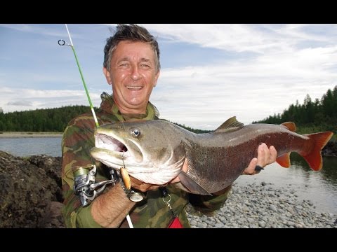 Видео: Вот это приманка!!!