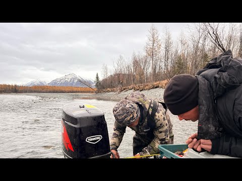 Видео: ШОК на горной реке! СЛОМАЛСЯ МОТОР на самом вверху! СПЛАВ с Кумкандры. Кункуннуур, МЕДВЕДЬ на пути