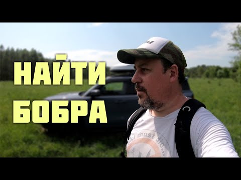 Видео: Найти бобра