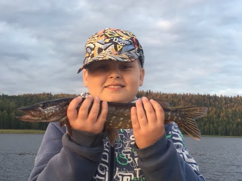 Видео: Отдых с рыбалкой на озере Янисъярви в Карелии.